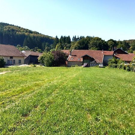 Gite Le Geleinfete II Vosges A Proximite De Gerardmer Herpelmont ภายนอก รูปภาพ
